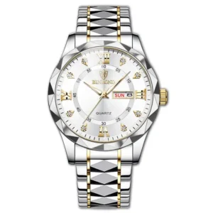 BINBOND 2521 Luxury Brand Luminous Quartz Watch For Men
