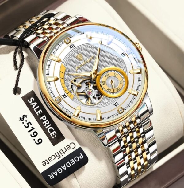 POEDAGAR 1416 Top Luxury Automatic Mechanical Stainless Steel Men's Watch