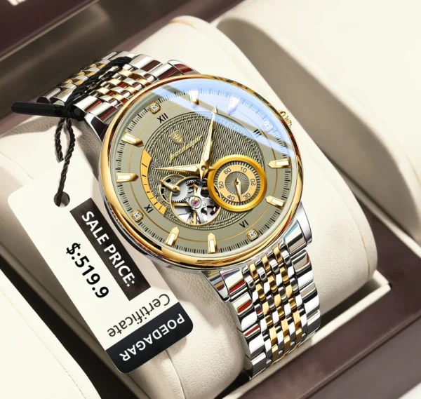 POEDAGAR 1416 Top Luxury Automatic Mechanical Stainless Steel Men's Watch